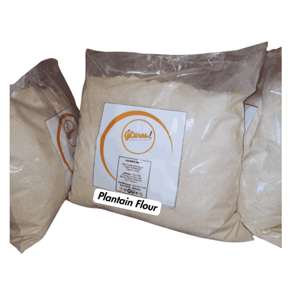 Plantain Flour Zumafind