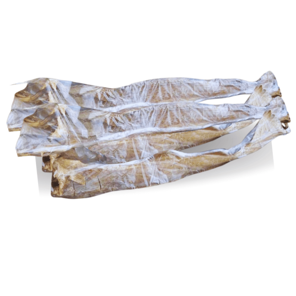 Stockfish Fullbody Large Size Zumafind