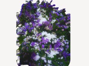 Wreath Bouquet Flowers Zumafind