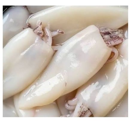 Calamari Rings Squid Zumafind