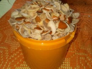 Ogbono Seeds High Quality Zumafind