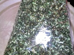 Prewinkle (Dried) Custard Rubber Zumafind
